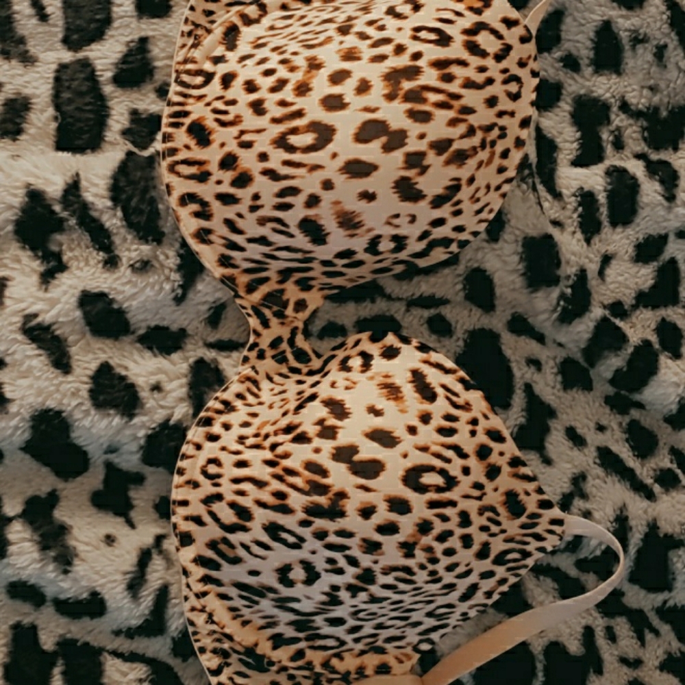 Bra